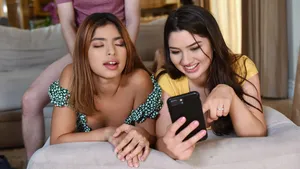 Quan hệ bạn thân của gấu không đủ khả năng đền tiền nhà